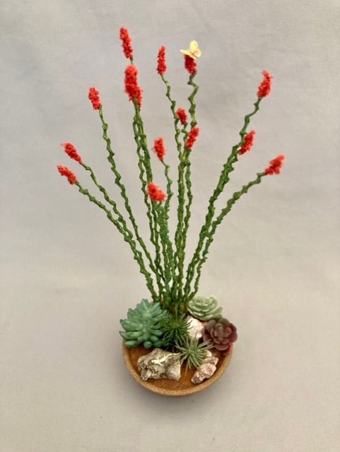 Ocotillo Plant LGBTQI+ Workshop